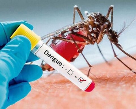 dengue